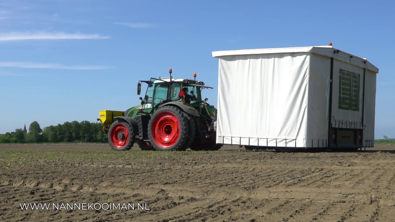 NKGTM Transplanting 12-rows celeriac
