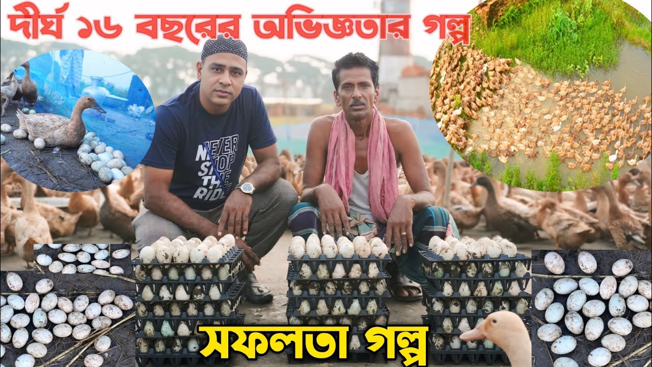 খামারির সফলতা গল্প -- দীর্ঘ 16 বছর যাবত হাঁস খামার পেশা -- অবাক হবেন তথ্যবহুল ভিডিওটি দেখে#khmar 