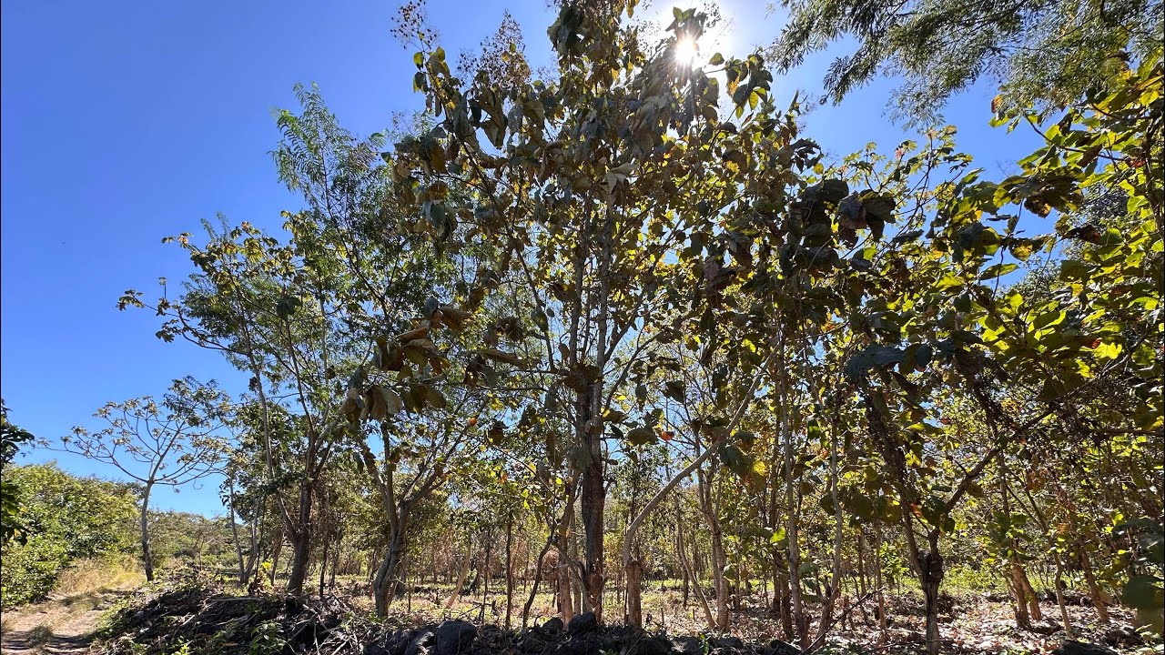 Se Vende Terreno en zona fresca Cerca de Quezaltepeque La Libertad $90,000.00