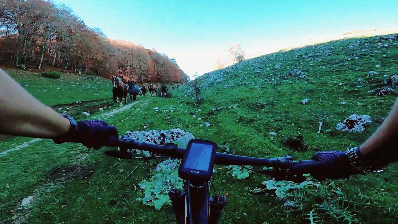 Pereto in mtb