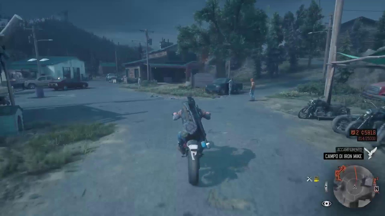 Days Gone