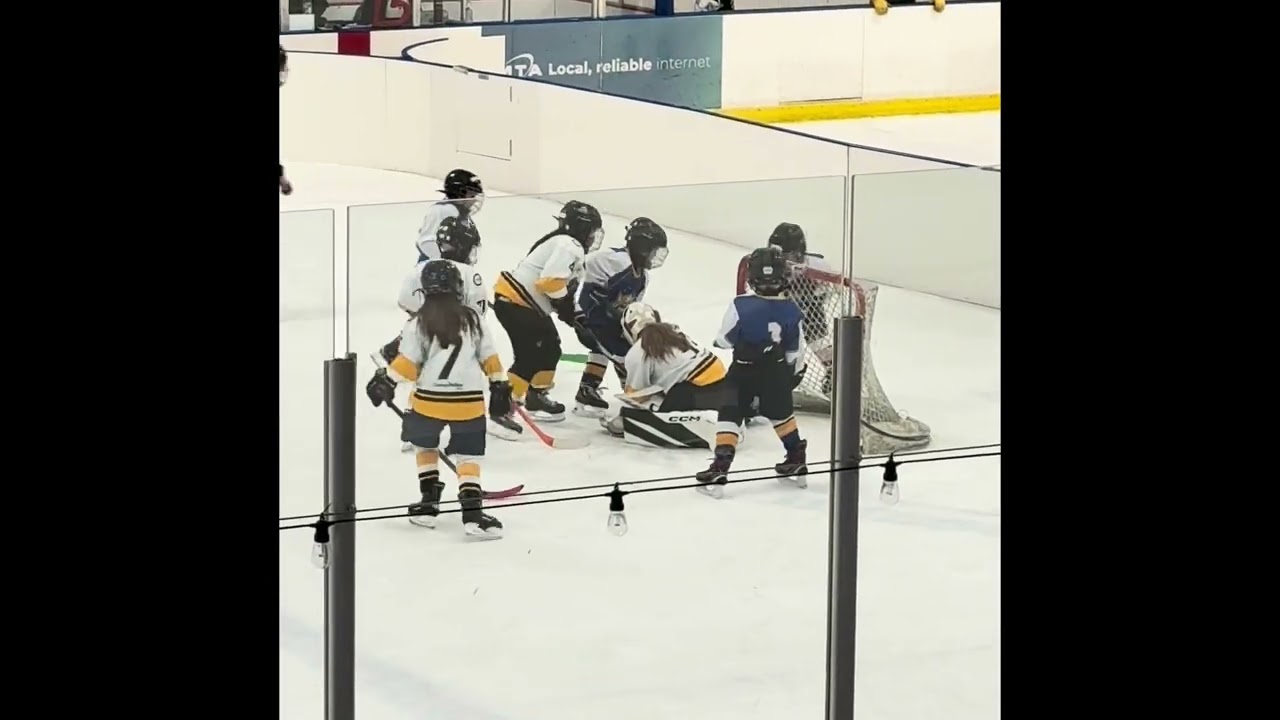 Finn hockey highlights 
