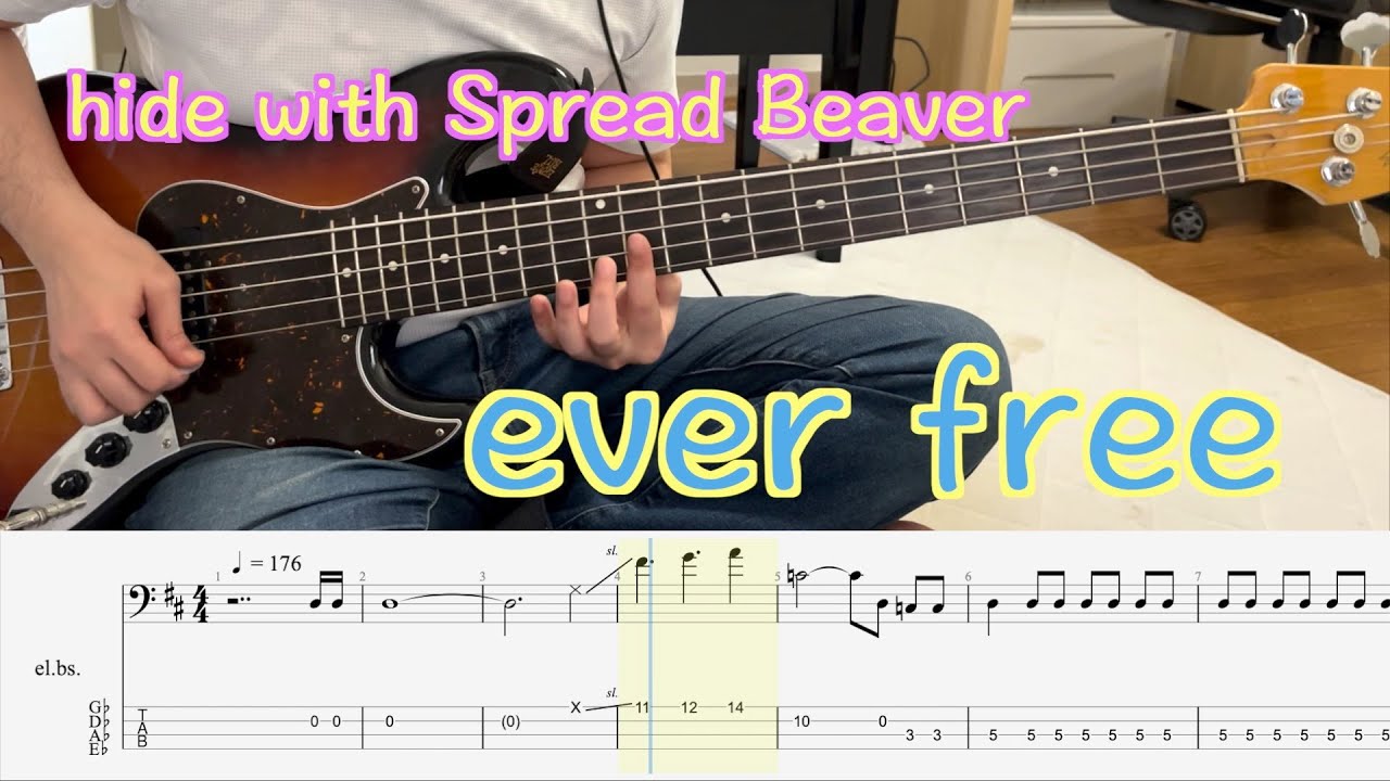【Bass Tab】hide with Spread Beaver - ever free (Bass Cover)