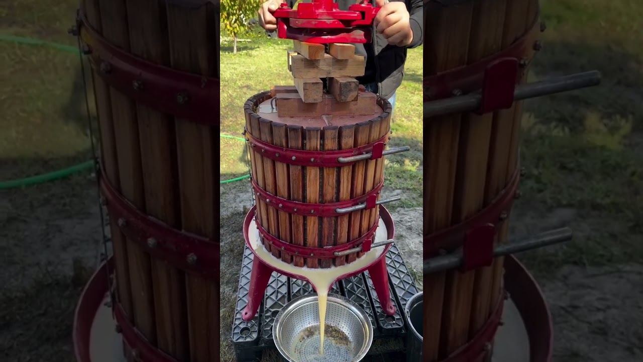 How a Traditional Wine Press Extracts Juice? #shorts #ayushxyz