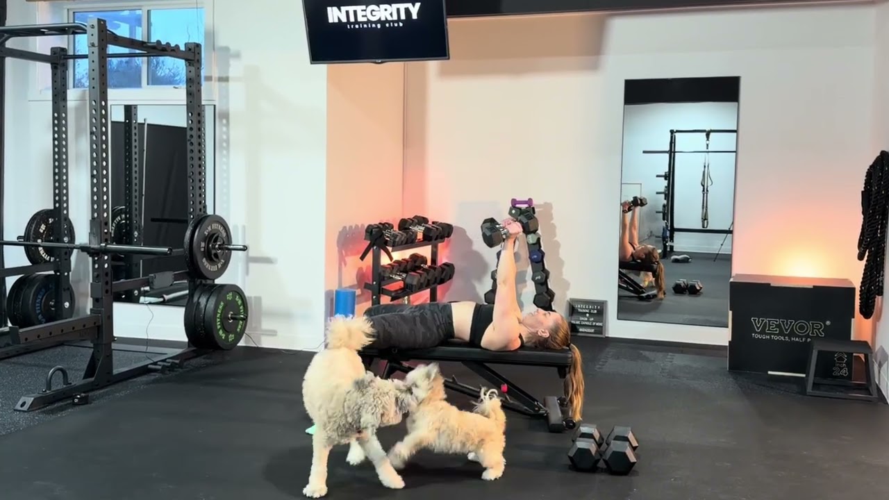30 min dumbbell upper body 