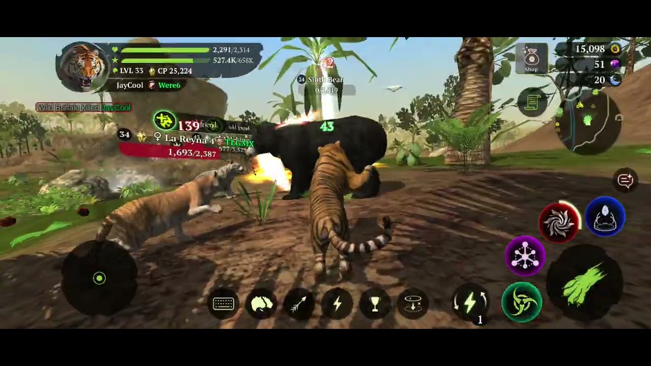 The tiger online experience
