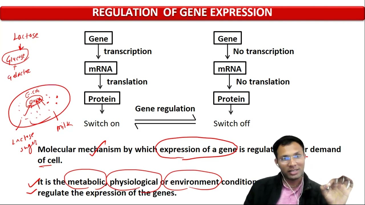 17. Defining gene regulation