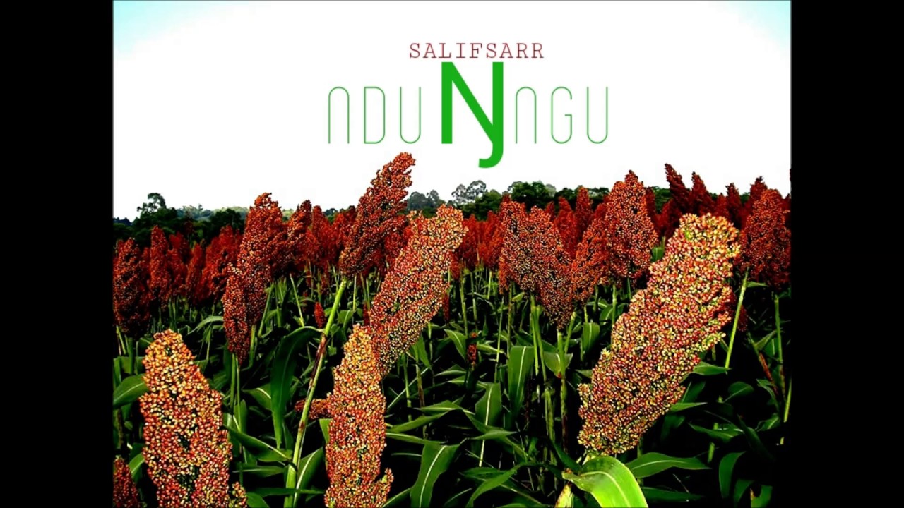 Salif Sarr - 