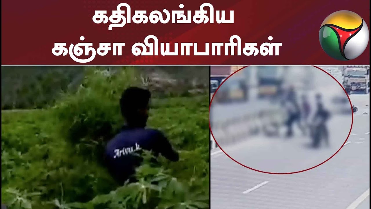கதிகலங்கிய கஞ்சா வியாபாரிகள்