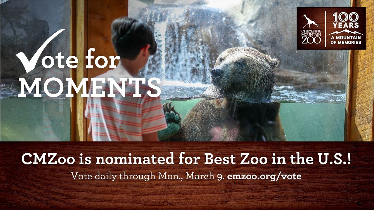 CMZoo is Nominated for Best Zoo in the U.S. by USA TODAY’s 10Best Readers’ Choice Awards!