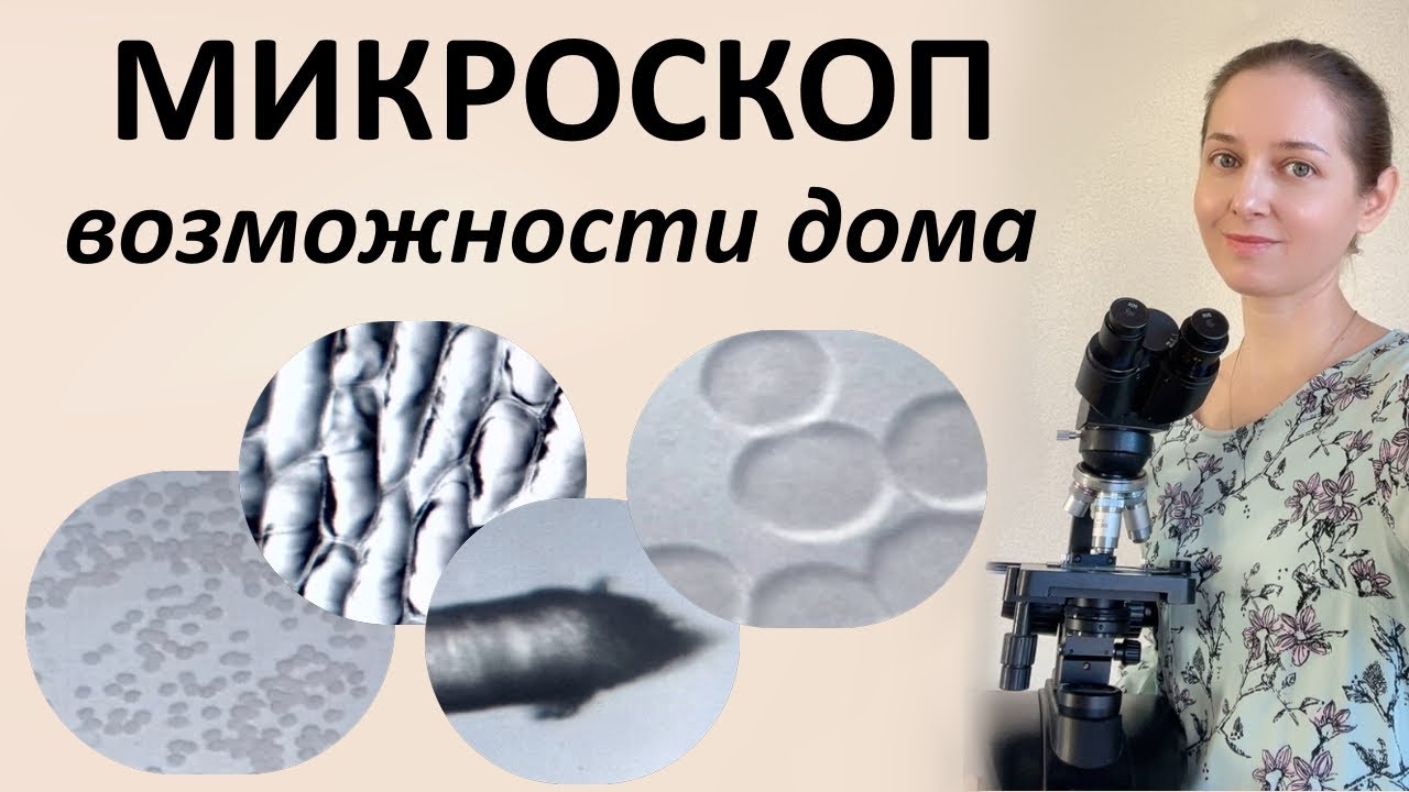Кровь, волосы, клетки, бактерии под микроскопом.