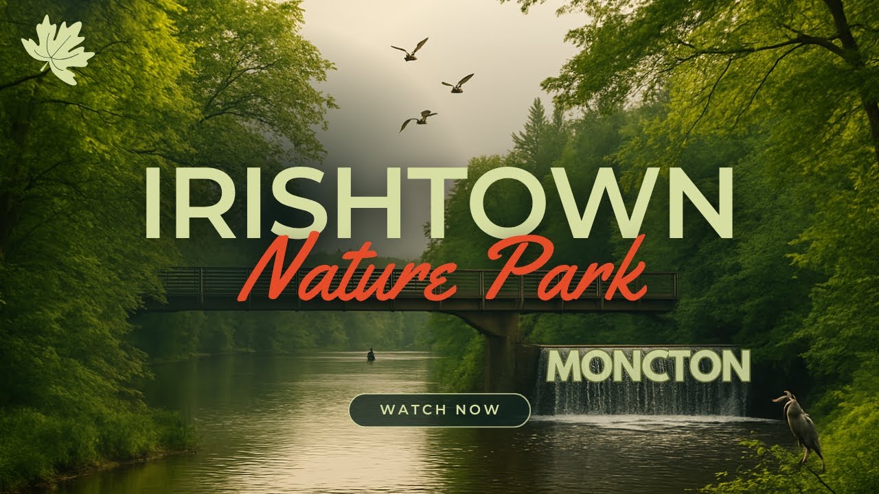 Peaceful Moments at Irishtown Park | Moncton Nature in 4K