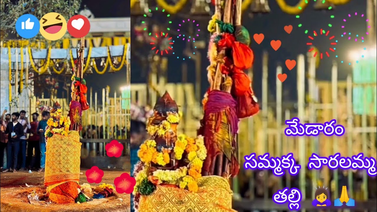 మేడారం మహా కుంభమేళ జాతర 🙏🙇‍♀️ సమ్మక్క సారలమ్మ తల్లులు జాతర 🤩తెలంగాణ లోనే  అది పెద్ద వన దేవతల జాతర 🥳