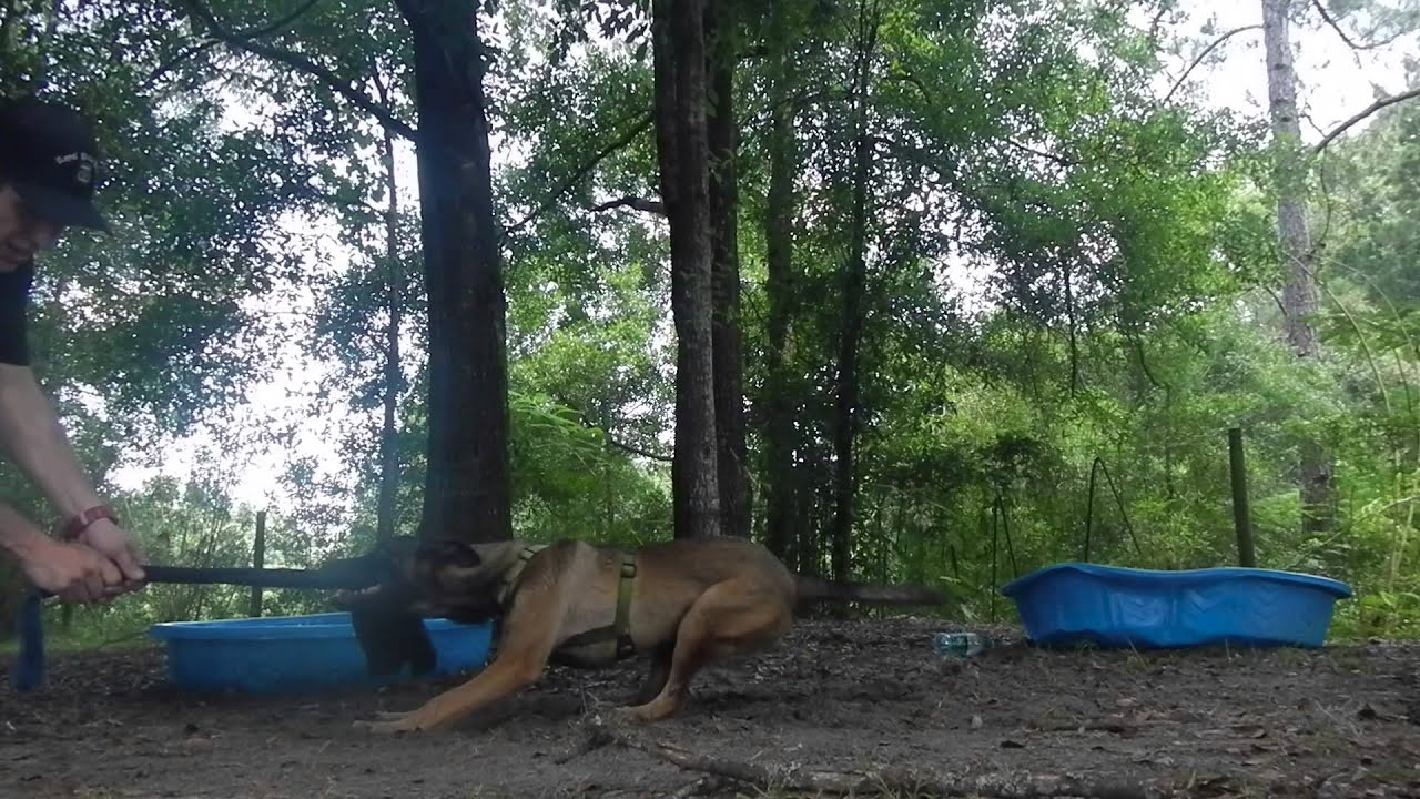 karma 1CA9A989 25FD 4D55 A076 CCD06561E47F