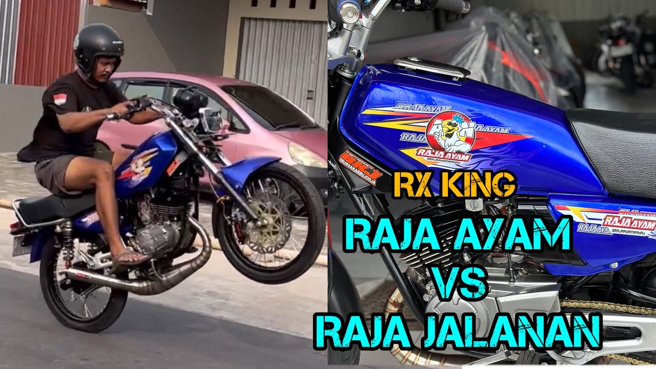 RX KING BOS RAJA AYAM SIAP GAS MUMBHUL