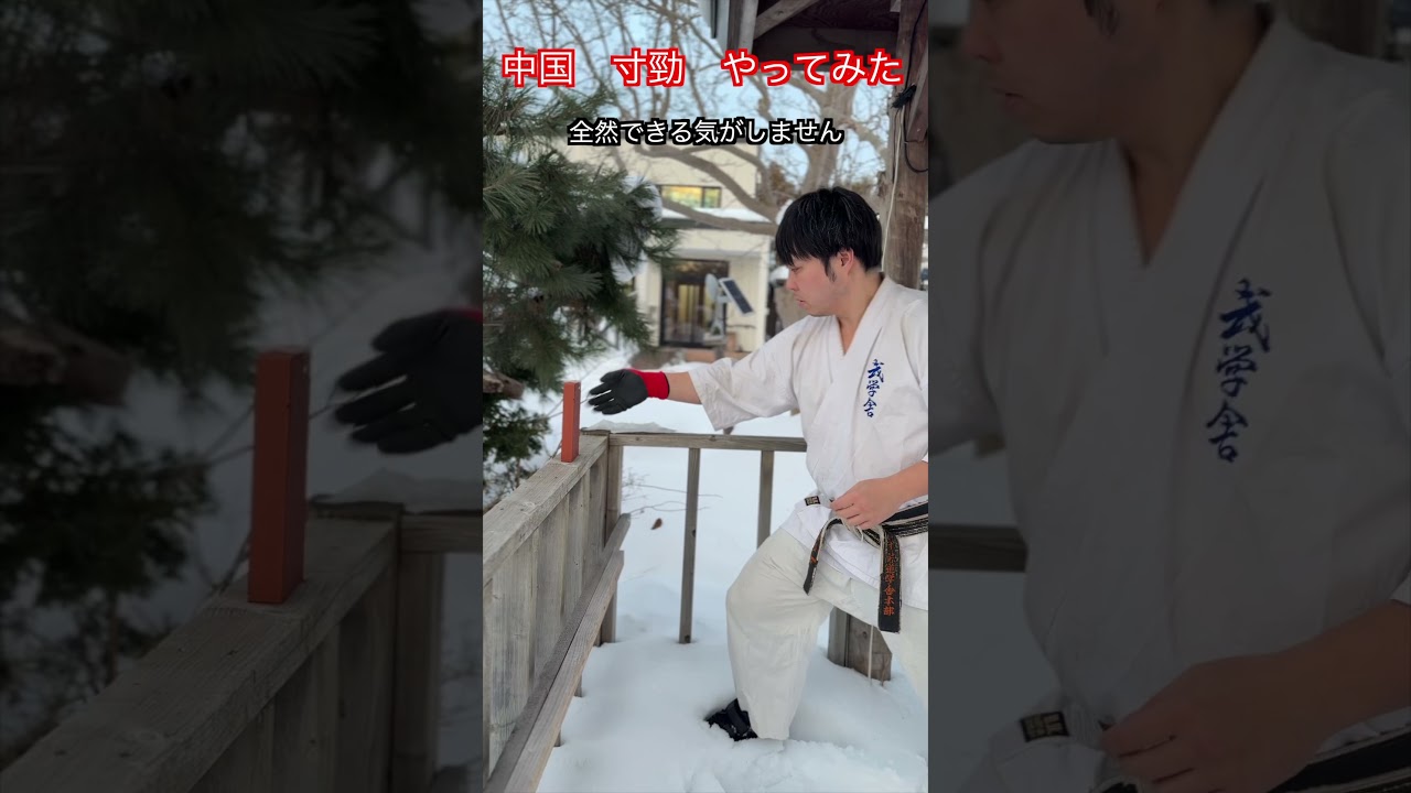 【武道・武術】よく中国の動画で見るレンガの寸勁割り　やってみた！！　#aikido ＃karate #martial #武道 ＃#空手＃合気道＃筋トレ#selfdefens