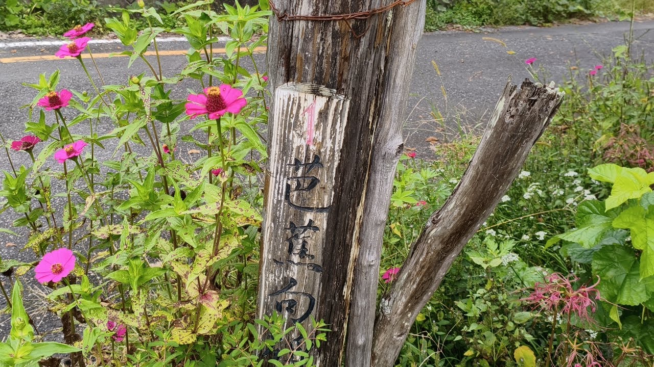 [秩父市]林道　滝の入線[埼玉県]