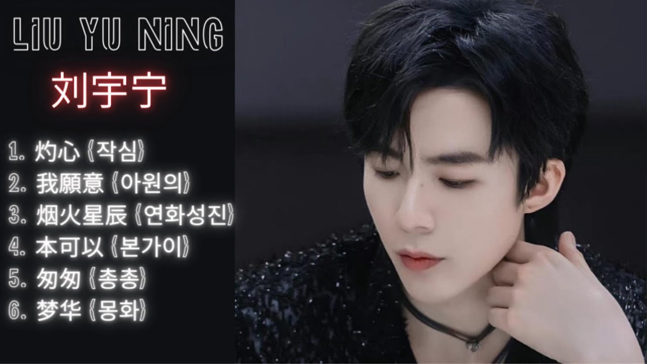 2. 언제든지 듣고 싶어서 만든 刘宇宁 OST 모음 _ liuyuning _ 류우녕 _ 摩登兄弟刘宇宁