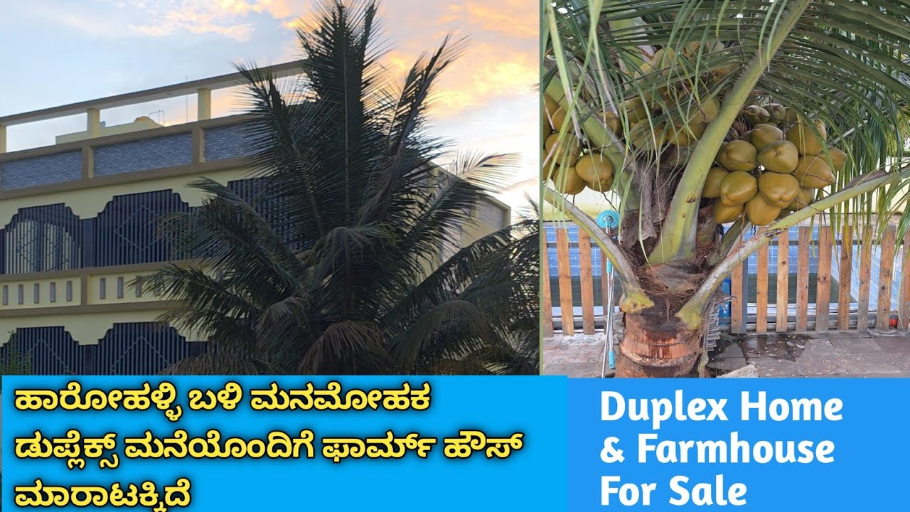 ಹಾರೋಹಳ್ಳಿ ||ಮನಮೋಹಕ ಡುಪ್ಲೆಕ್ಸ್ ಫಾರ್ಮ್ ಹೌಸ್||  ತೋಟ ಮಾರಾಟಕ್ಕಿದೆ ||Glamorous Duplex Home||Garden||Sale||