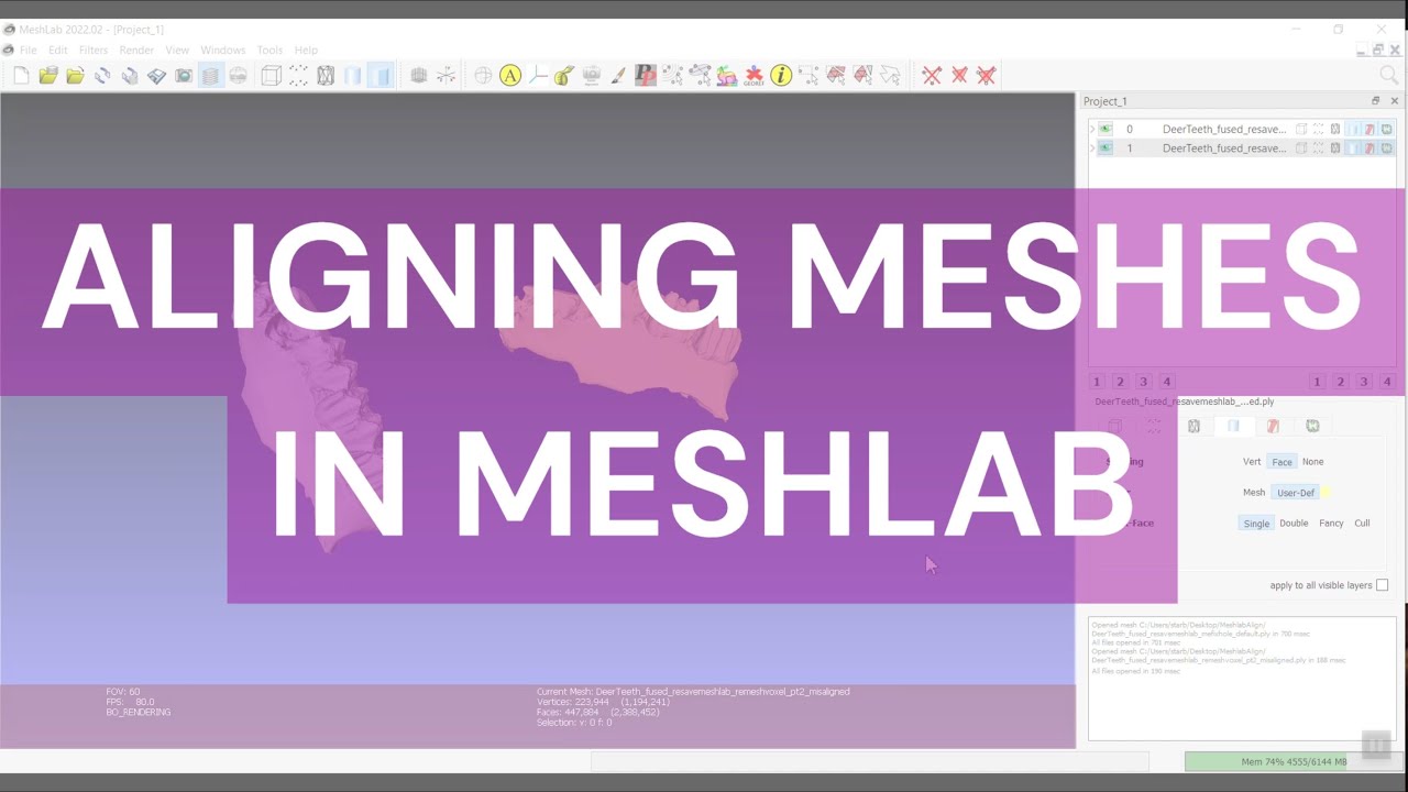 Aligning Models in Meshlab