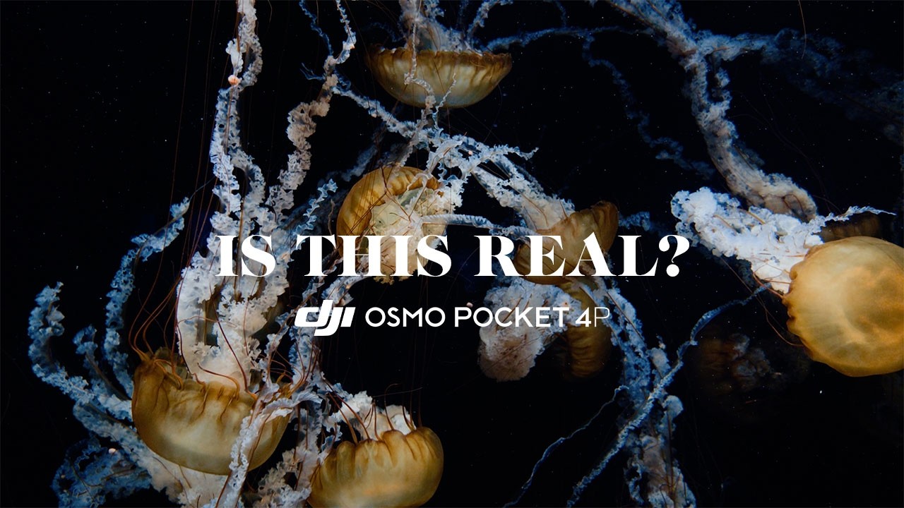 DJI Osmo Pocket 4P Cinematic Showcase | See What This Camera Can Really Do