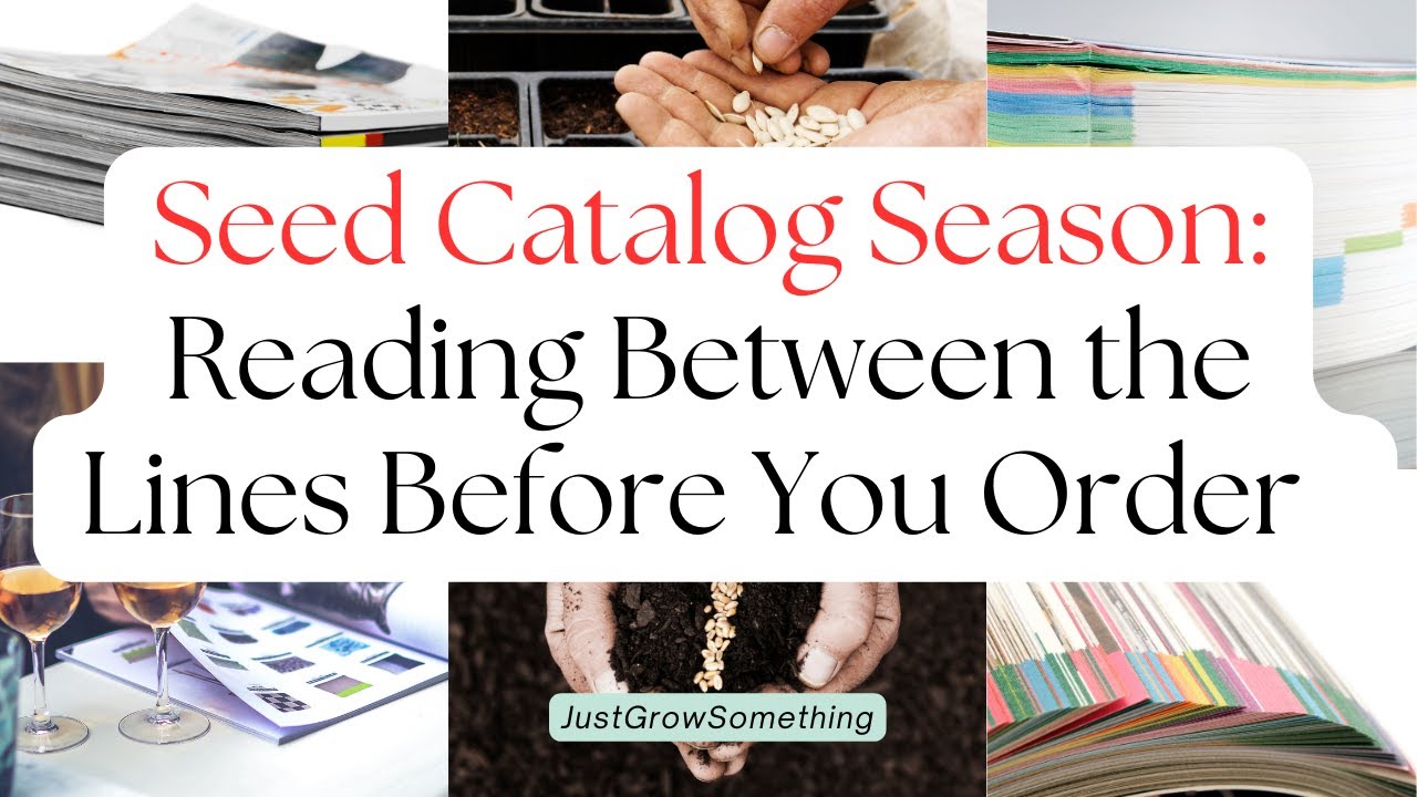 Seed Catalog Season: Reading Between the Lines Before You Order – Ep. 280