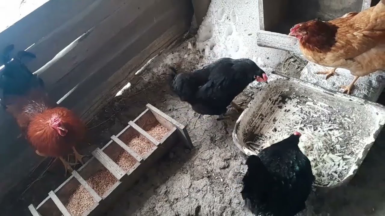 Відповідь на коментарі..