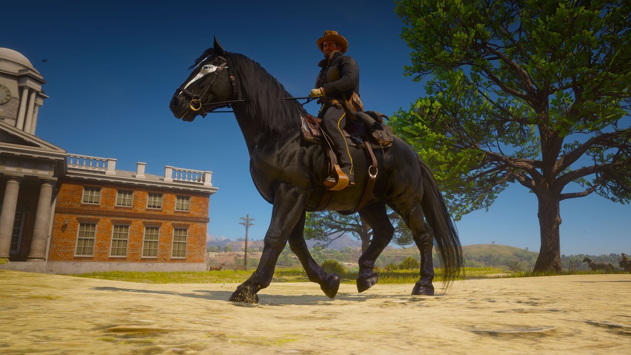 Most Trending Black Shark Horse Tamed By Arthur Morgan Near Blackwater