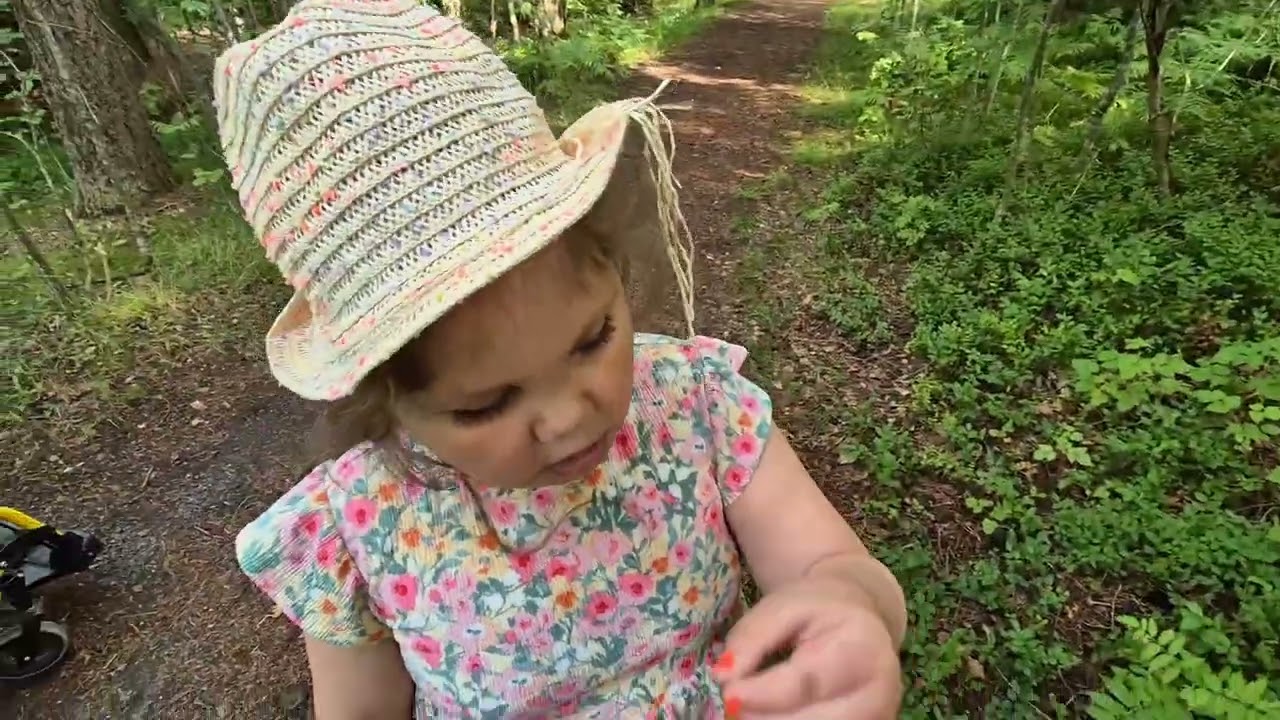 Kivet piiloon, sienet talteen – seikkailua metsässä! 💖✨️