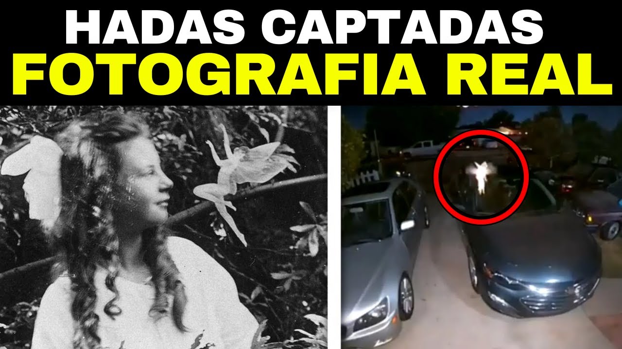 15 Hadas Reales Captadas Por Una C&aacute;mara Y Vistas En La Vida Real