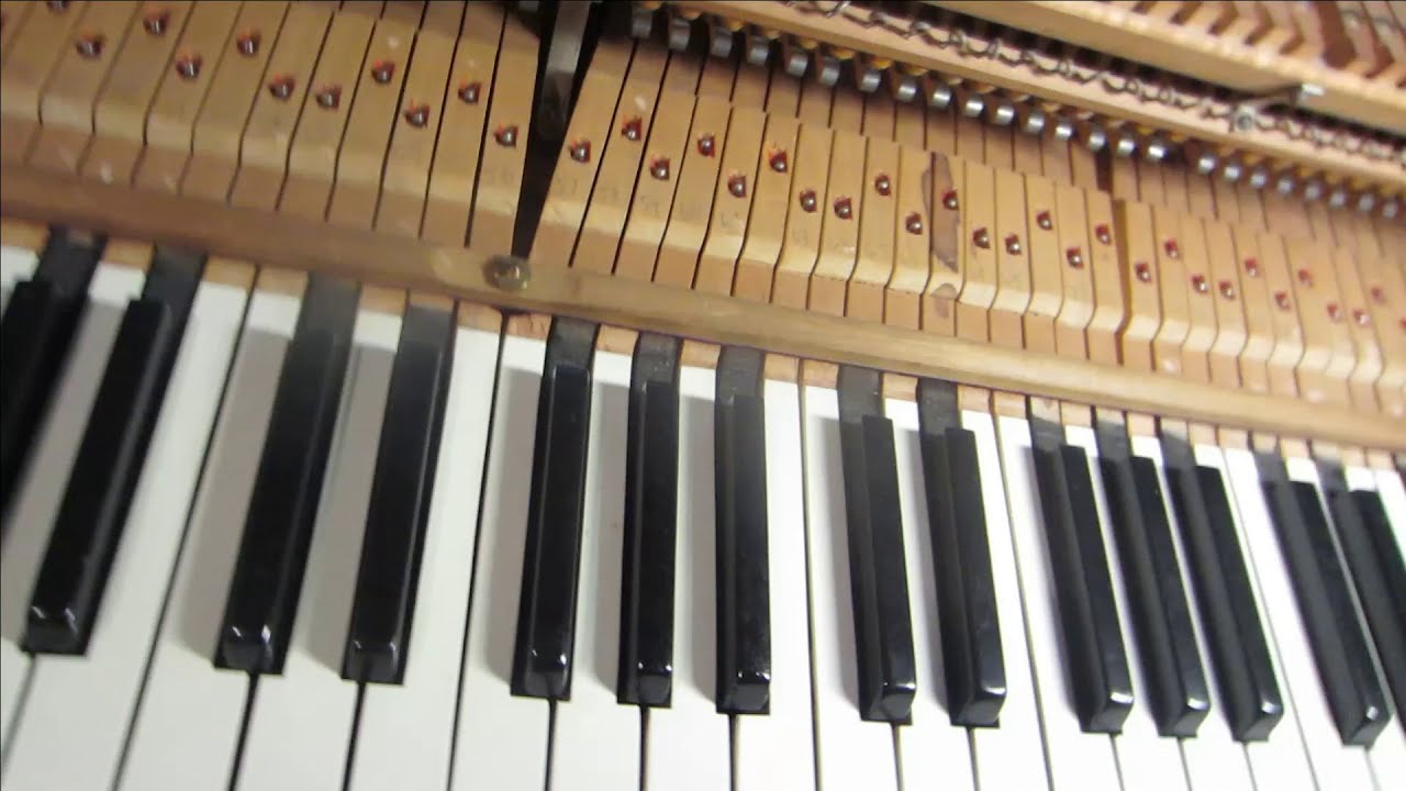 Reconditioning piano key felt bushings using VS Profelt