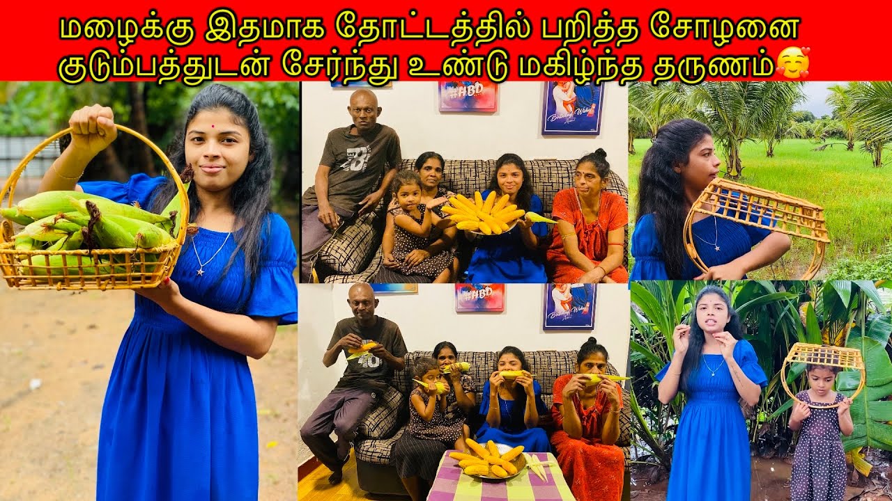 மழைக்கு இதமாக தோட்டத்தில் பறித்த சோழனை குடும்பத்துடன் சேர்ந்து உண்டு மகிழ்ந்த தருணம்/ssavlog/Tamil🥰🌽