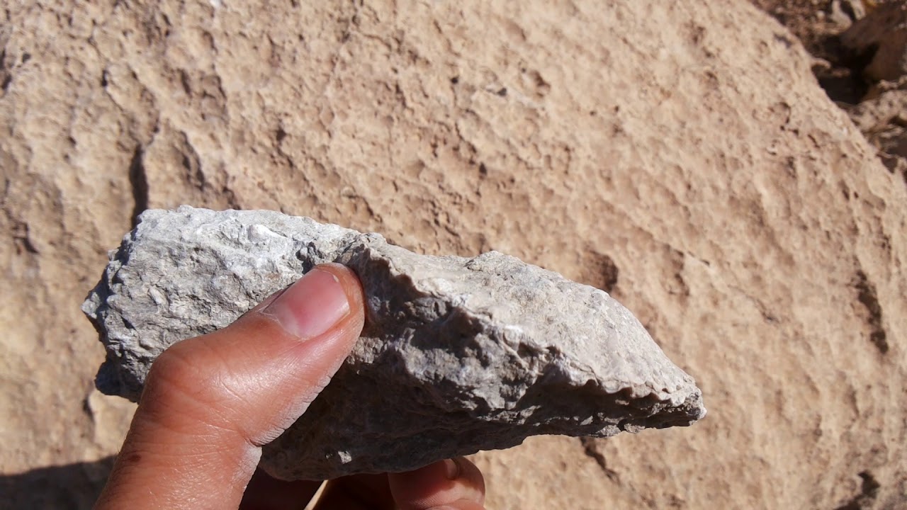 fossil hunting episode 10(fossil in marlstone)