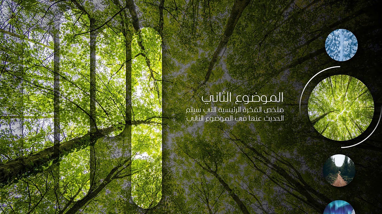 اصنع شرائح مذهلة وسلسة بدون أي خبرة سابقة