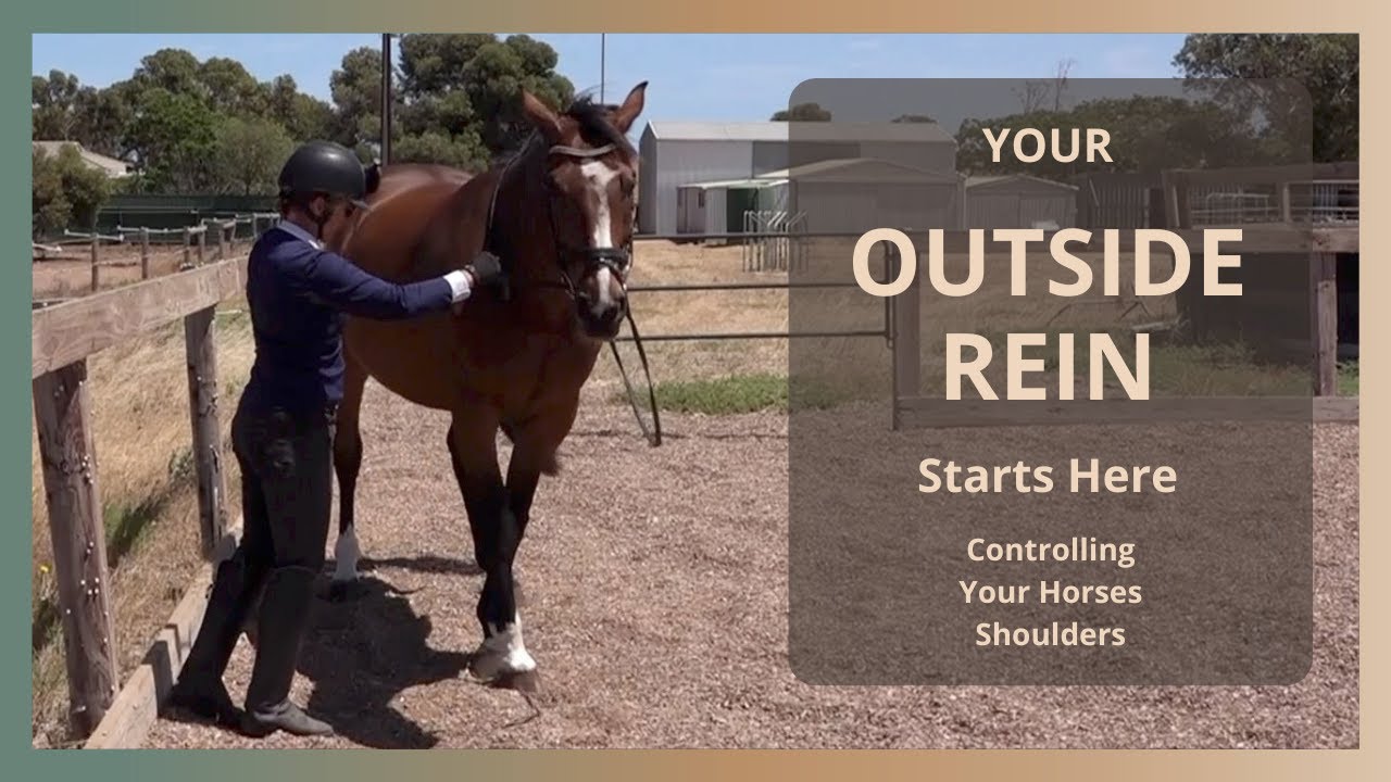 Turn On The Haunches Dressage