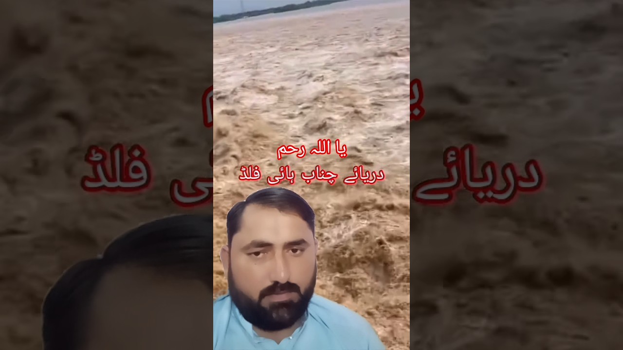 Uff 😔  High Flood in River Chenab 2025 |Punjab Flood Update