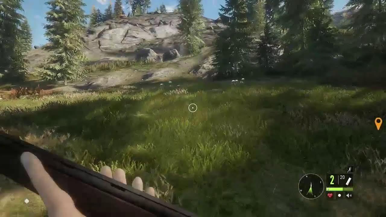 Welcome back to part 2 of our thrilling live stream of **theHunter: Call of the Wild!**
