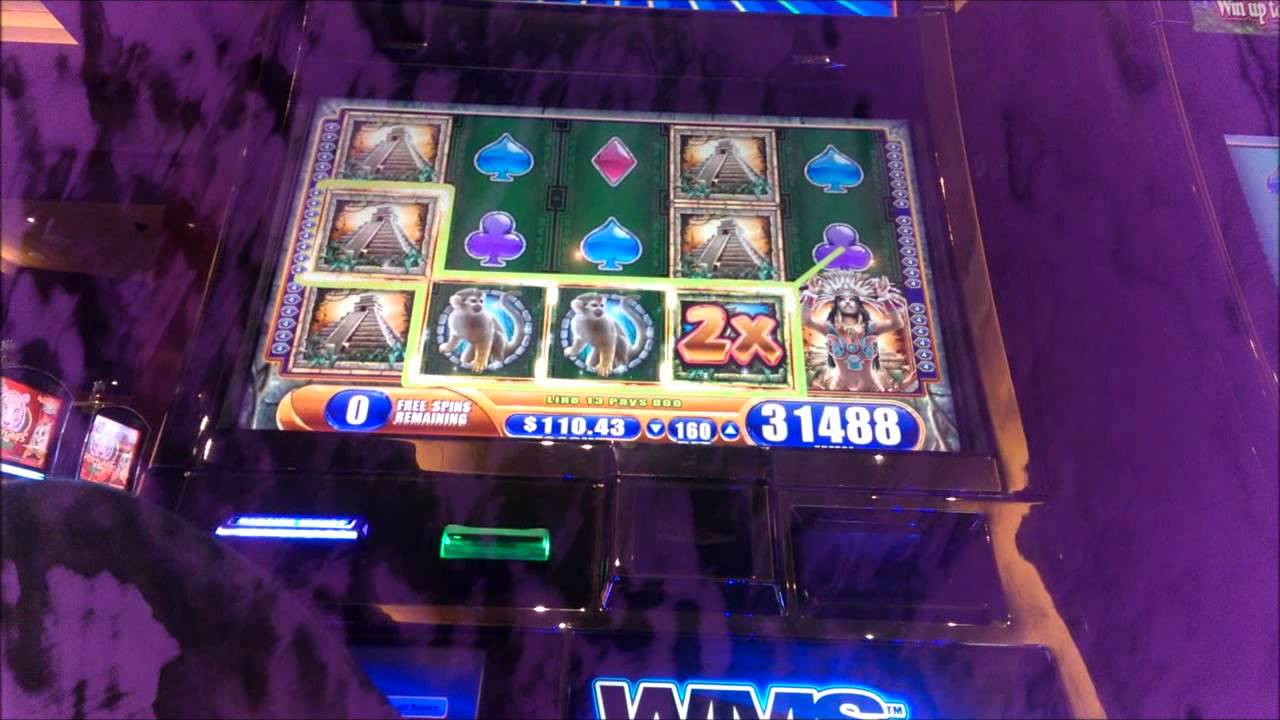 Jungle Wild III / Cirque Super / Mega Big Wins