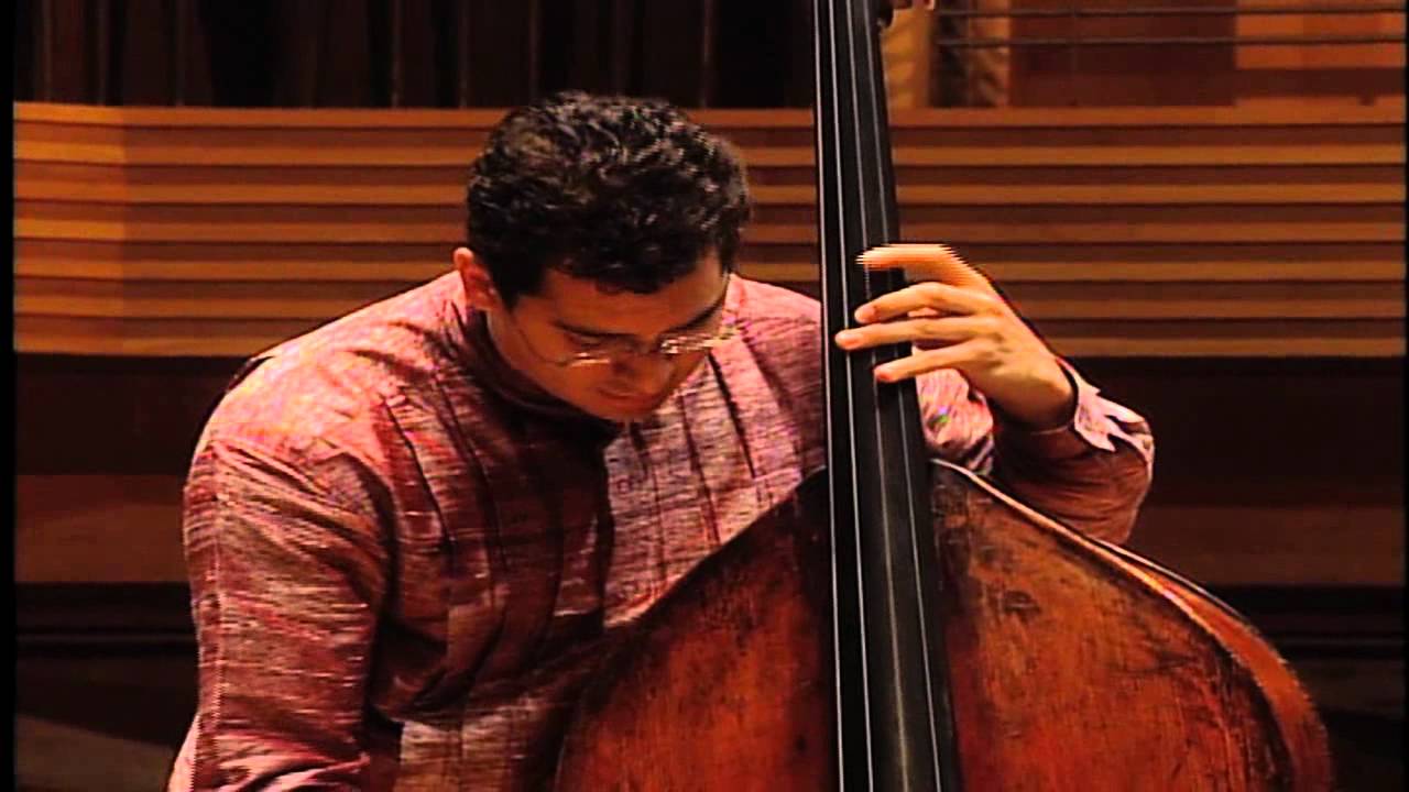 Dittersdorf, Kontrabass Concerto 1st & 2nd mov
