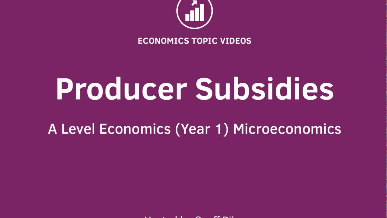 Producer Subsidies I A Level and IB Economics