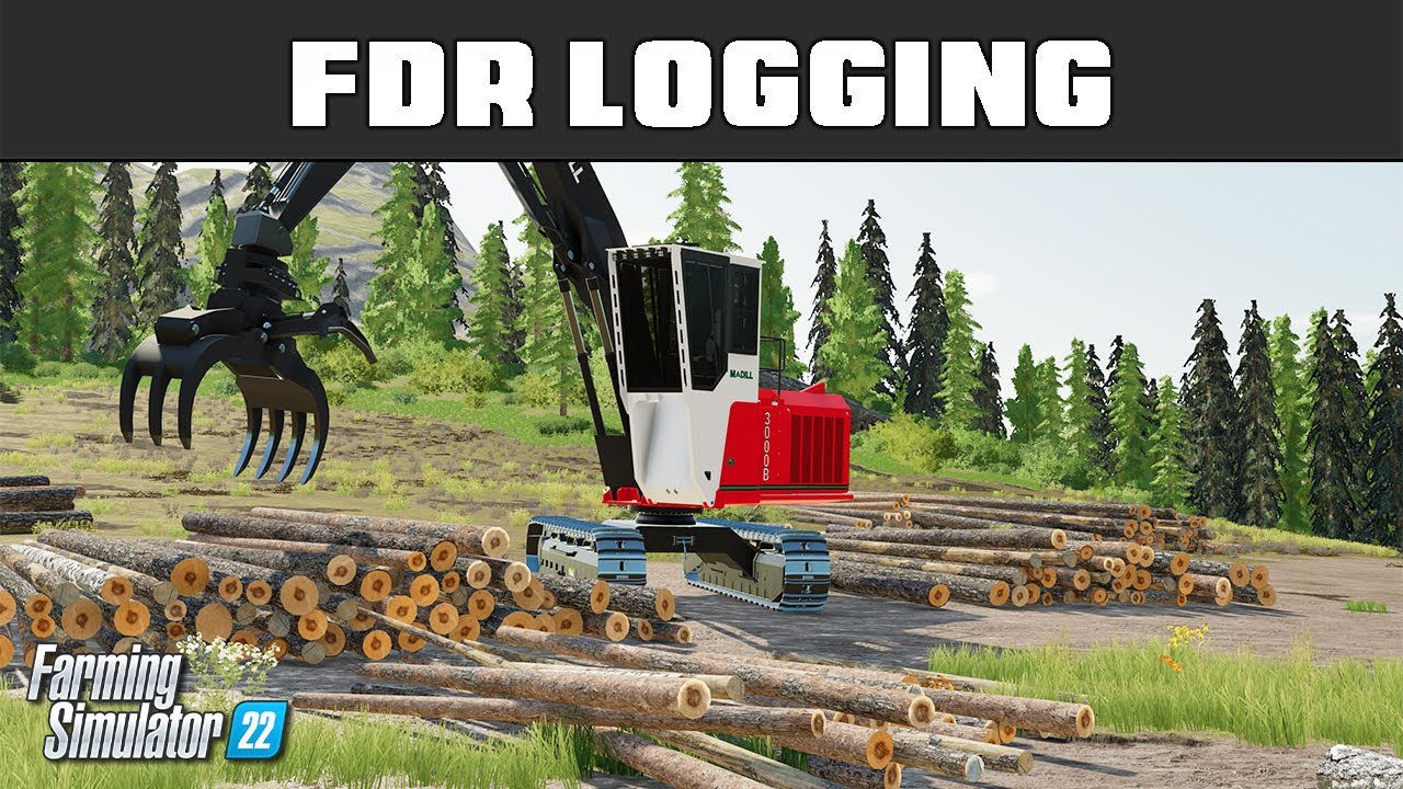 All About Log Loading Tips & Tricks Today