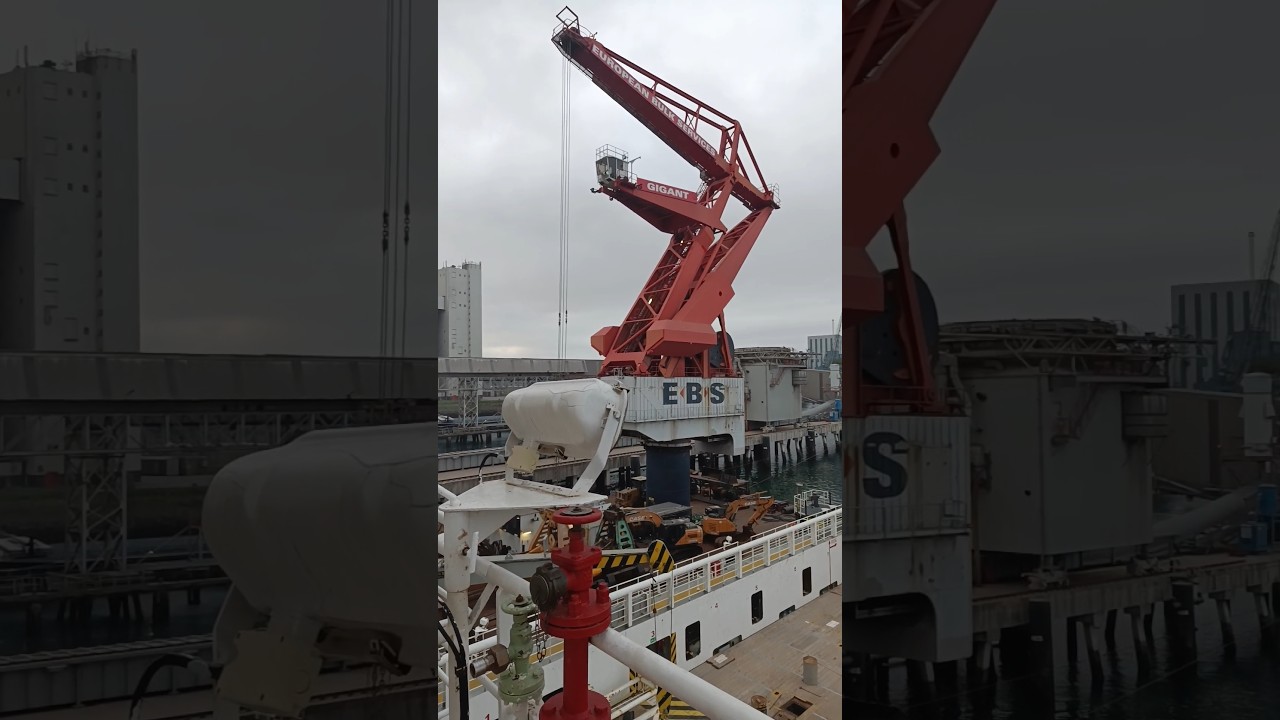 #shorts #Europe #Netherland #Rotterdam #Rhenus deep sea port