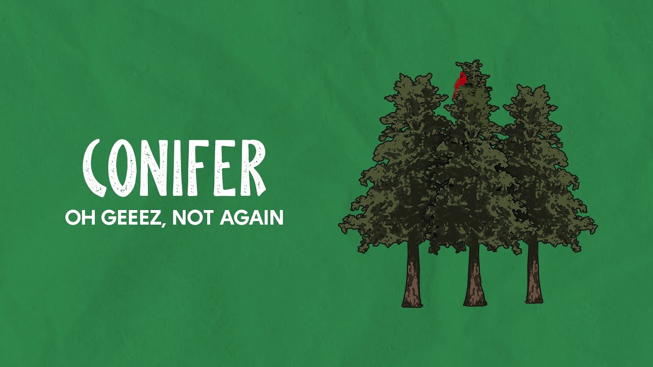 Oh Geeez, Not Again - Conifer (Official Lyric Video) ft. 
