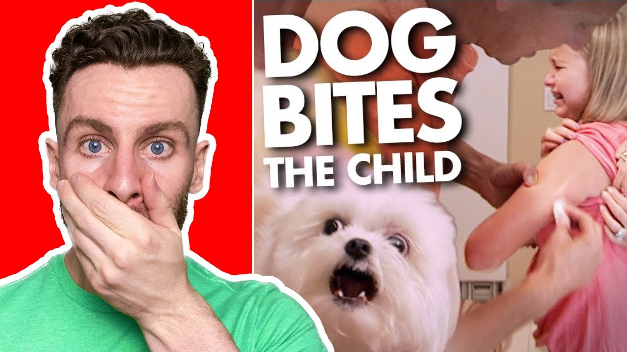 Dog Expert Reacts To 