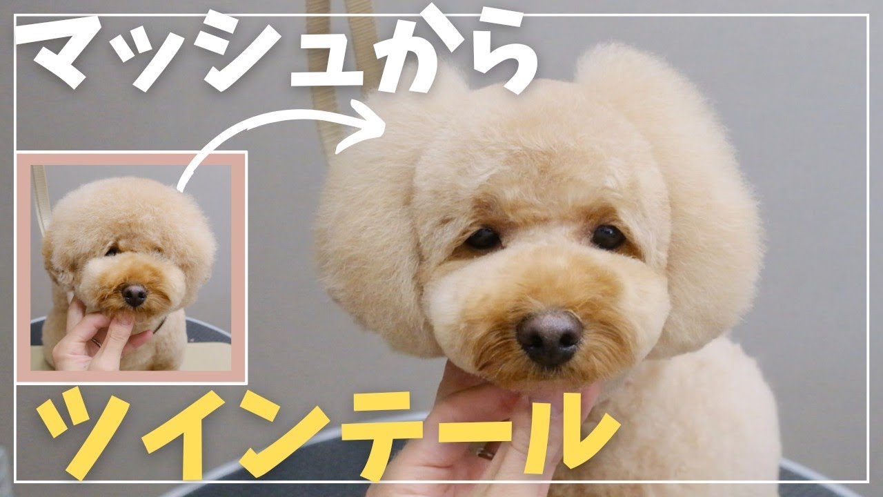 【音声解説】男の子に間違われたことある？女の子らしいスタイル♡