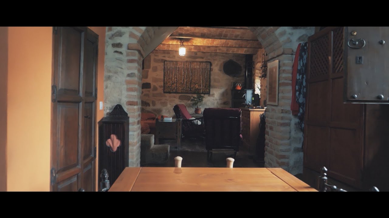 La restauradora Maite tiene una lagartija en el salón | Esta es mi casa