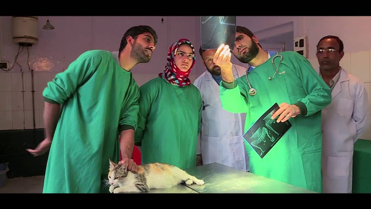 Colours of the Valley: Disaster Response and Rehabilitation in J&K