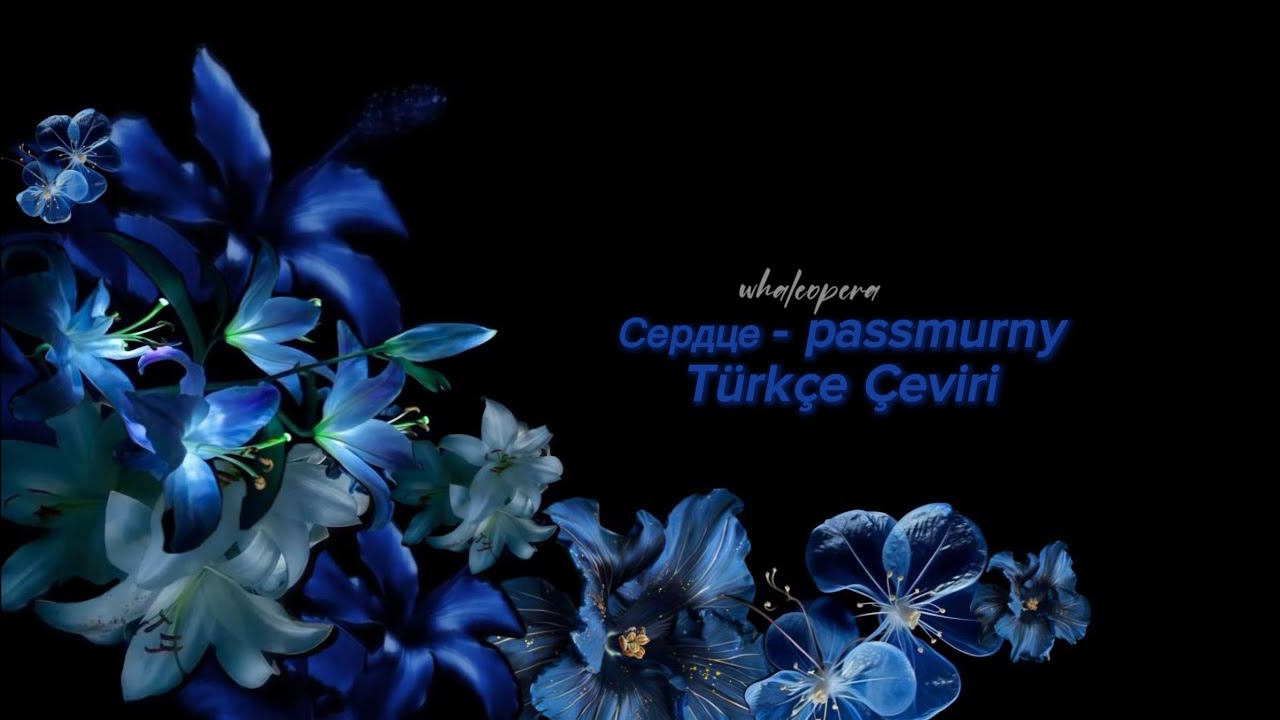Сердце (Kalp) - passmurny (Türkçe Çeviri)