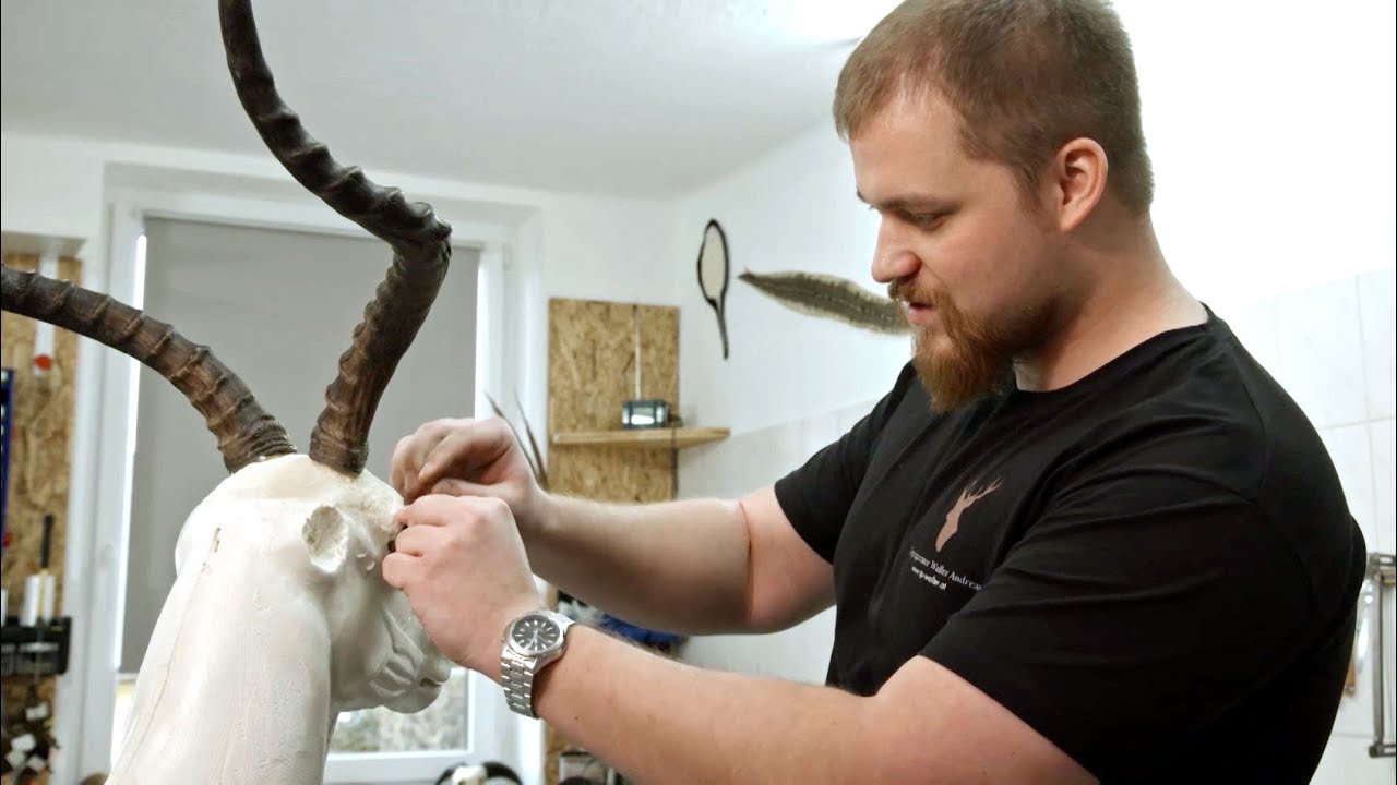 Tierpräparator Andreas Waller - Junge Wilde, altes Handwerk
