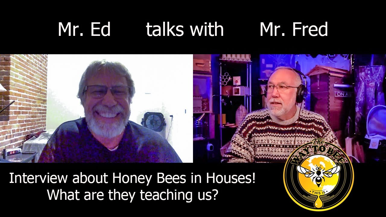Frederick Dunn Interviews Jeff Horchoff, AKA Mr. Ed! About feral cutouts and  honey bee observations